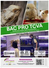 BAC PRO TCVA